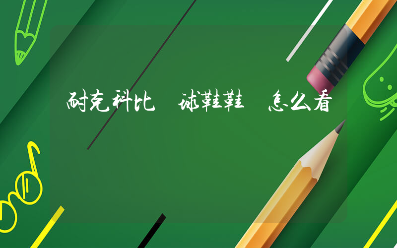 耐克科比籃球鞋鞋碼怎么看插圖