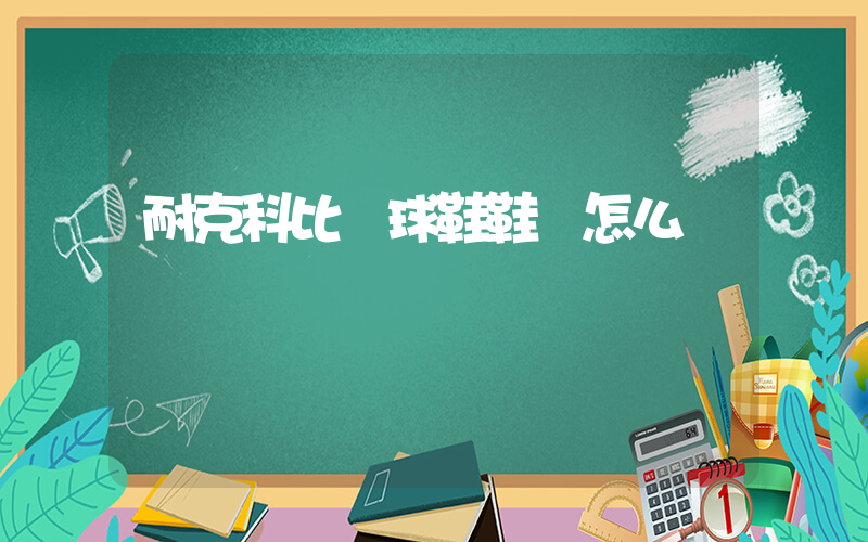 耐克科比籃球鞋鞋碼怎么選插圖