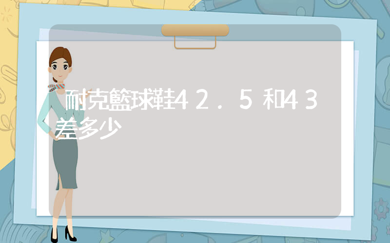 耐克籃球鞋42.5和43差多少插圖
