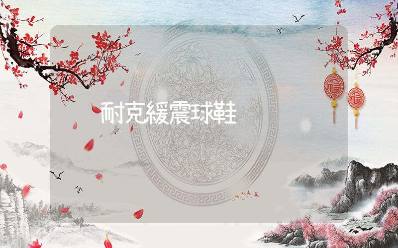 耐克緩震球鞋插圖
