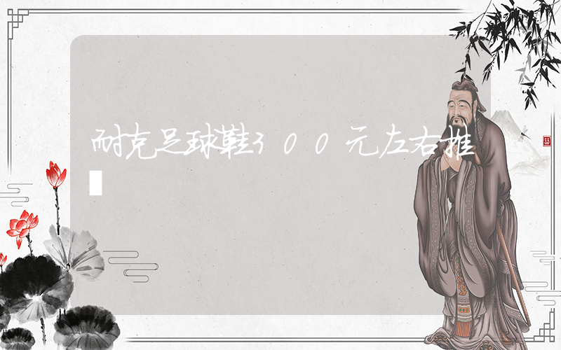 耐克足球鞋300元左右推薦插圖