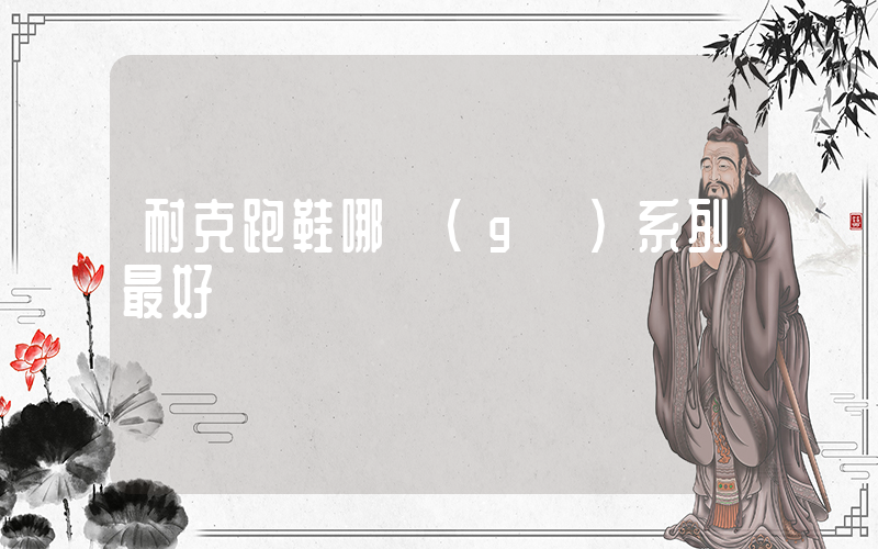 耐克跑鞋哪個(gè)系列最好插圖