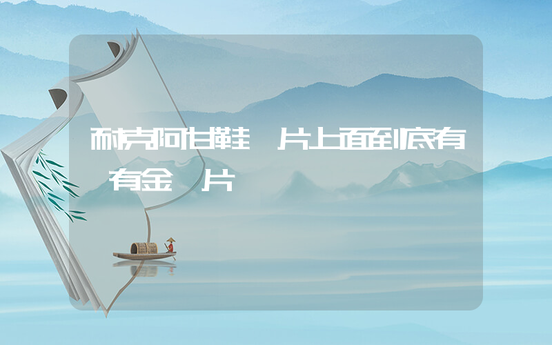 耐克阿甘鞋圖片上面到底有沒有金屬片插圖