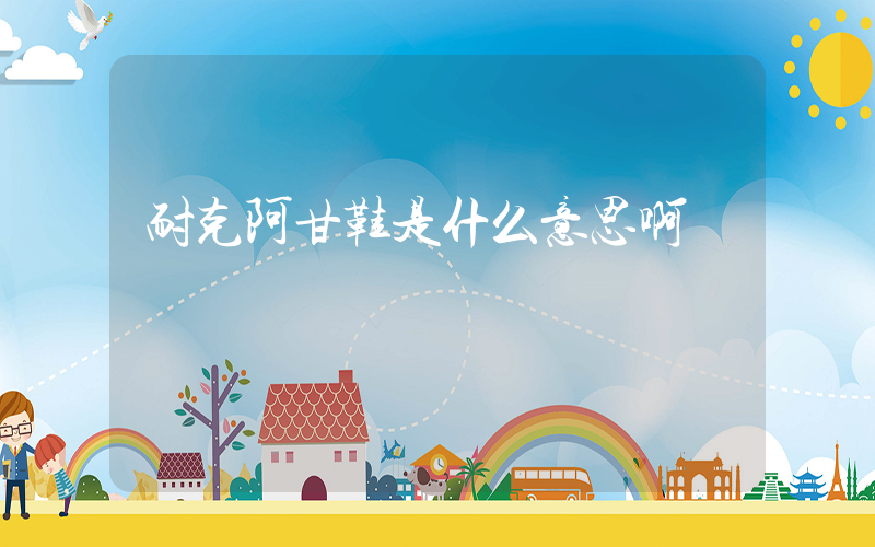 耐克阿甘鞋是什么意思啊插圖