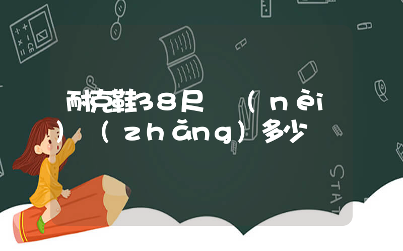 耐克鞋38尺碼內(nèi)長(zhǎng)多少插圖