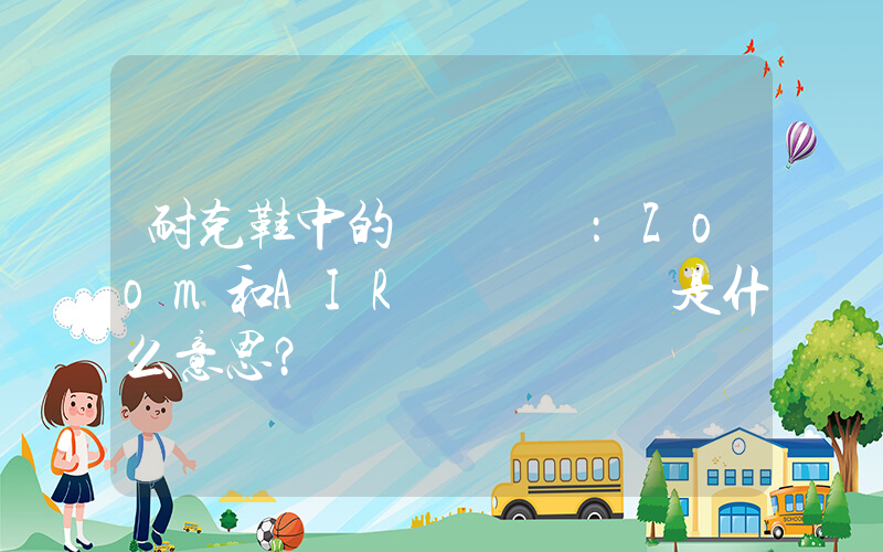 耐克鞋中的兩種氣墊：Zoom和AIR這兩個單詞是什么意思？插圖