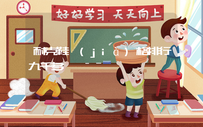耐克鞋價(jià)格排行九千多插圖