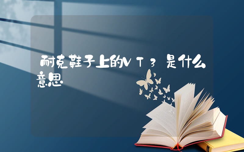耐克鞋子上的VT3是什么意思插圖 耐克鞋子上的VT3是什么意思插圖