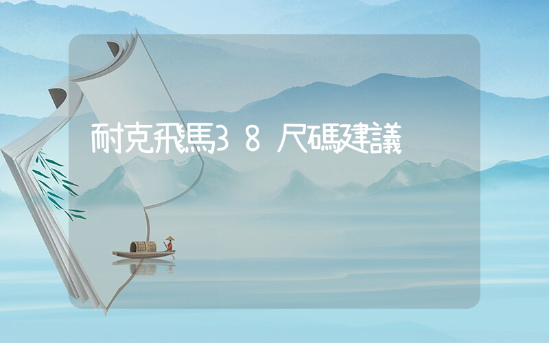 耐克飛馬38尺碼建議插圖