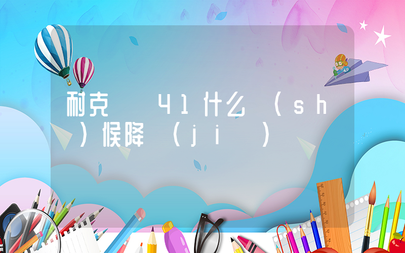 耐克飛馬41什么時(shí)候降價(jià)插圖