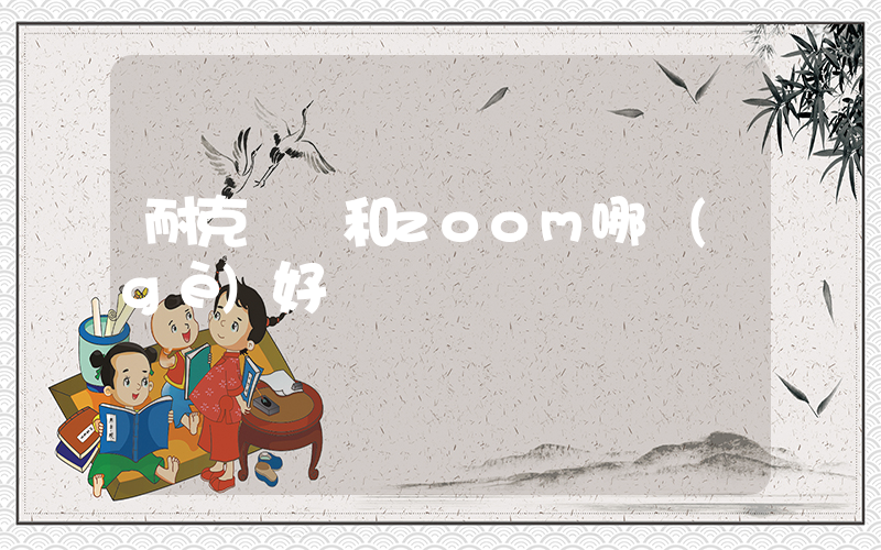 耐克飛馬和zoom哪個(gè)好插圖