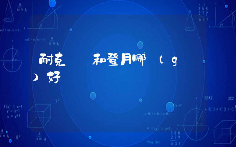 耐克飛馬和登月哪個(gè)好插圖