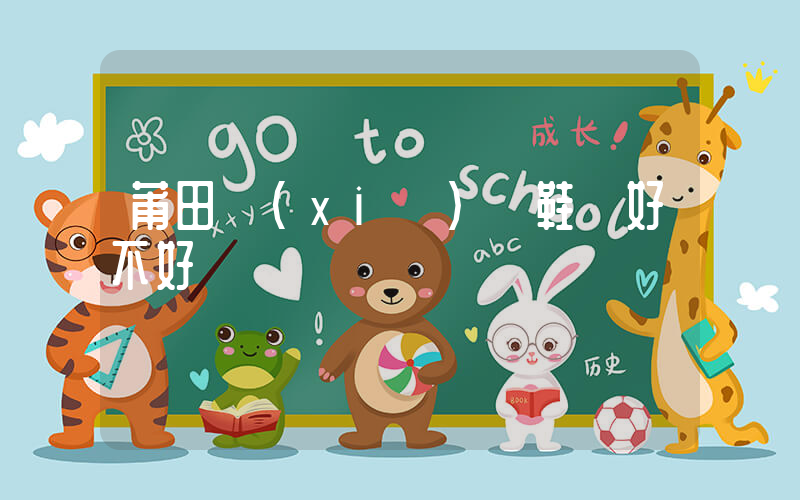 莆田協(xié)豐鞋廠好不好插圖