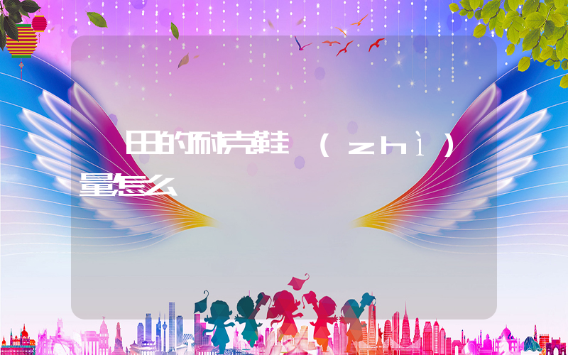 莆田的耐克鞋質(zhì)量怎么樣插圖