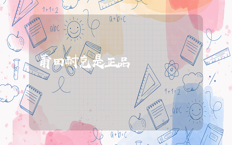 莆田耐克是正品嗎插圖