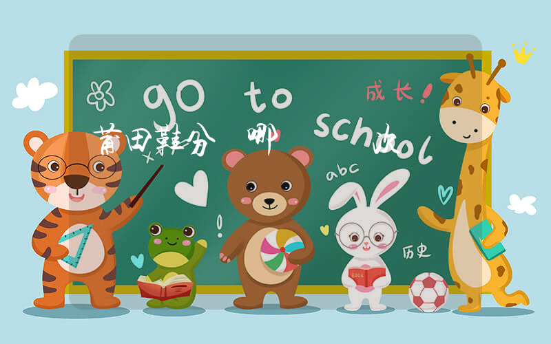 莆田鞋分為哪幾個檔次插圖