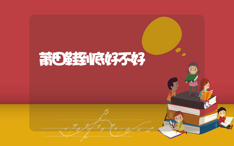 莆田鞋到底好不好插圖