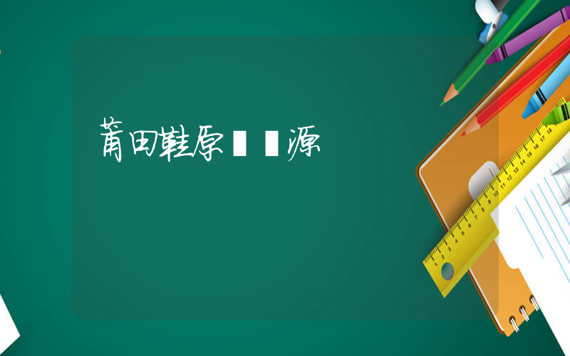 莆田鞋原廠貨源插圖