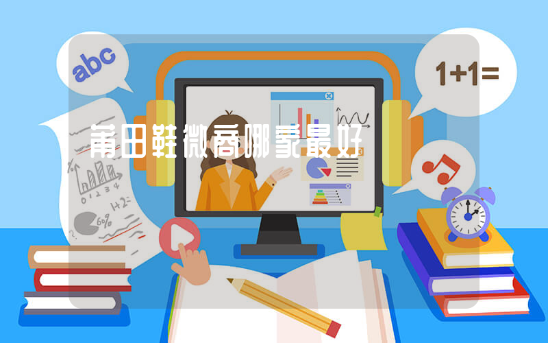 莆田鞋微商哪家最好插圖