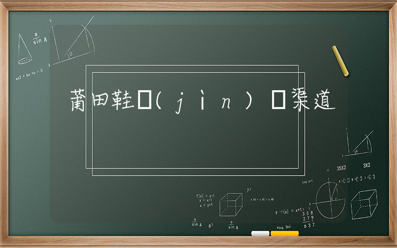 莆田鞋進(jìn)貨渠道插圖
