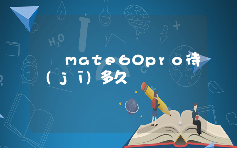 華為mate60pro待機(jī)多久插圖