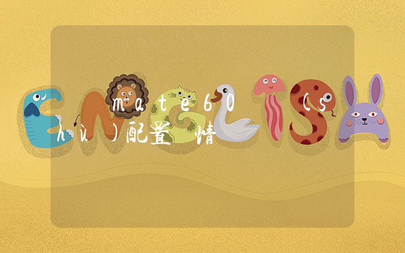 華為mate60參數(shù)配置詳情插圖