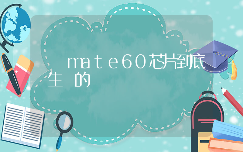 華為mate60芯片到底誰生產的插圖