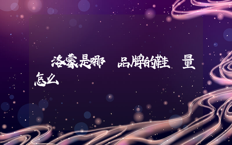 薩洛蒙是哪國品牌的鞋質量怎么樣插圖