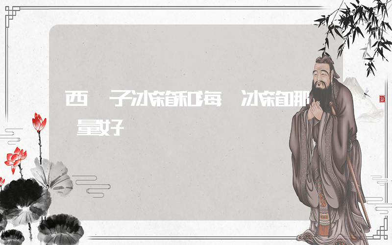 西門子冰箱和海爾冰箱哪個質量好插圖