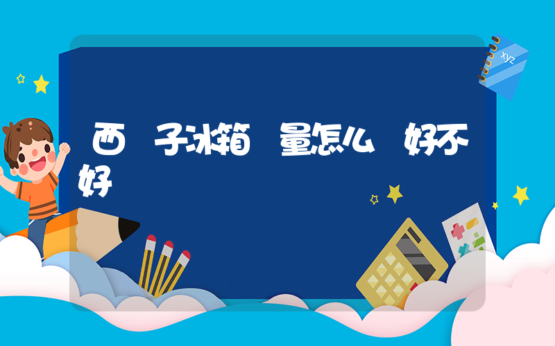 西門子冰箱質量怎么樣好不好插圖