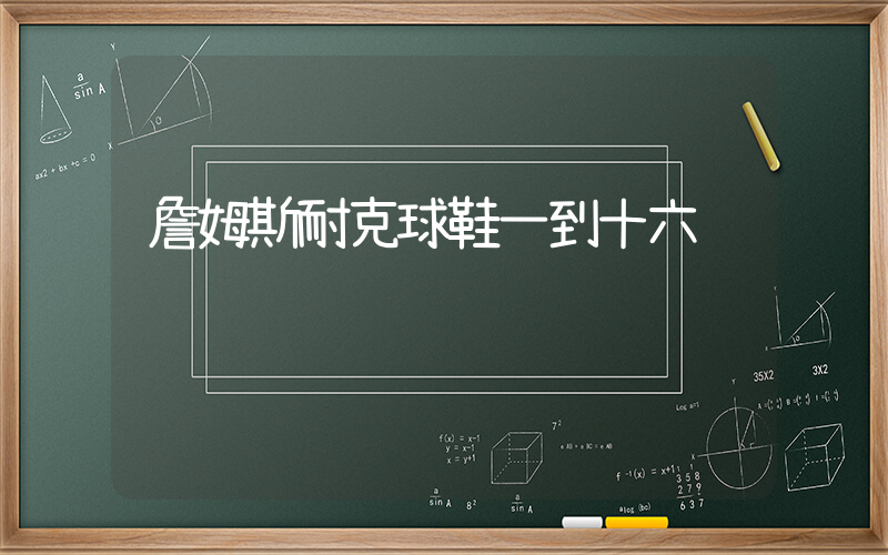 詹姆斯耐克球鞋一到十六插圖