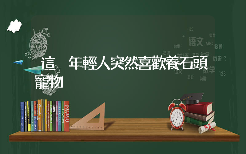 這屆年輕人突然喜歡養石頭寵物插圖