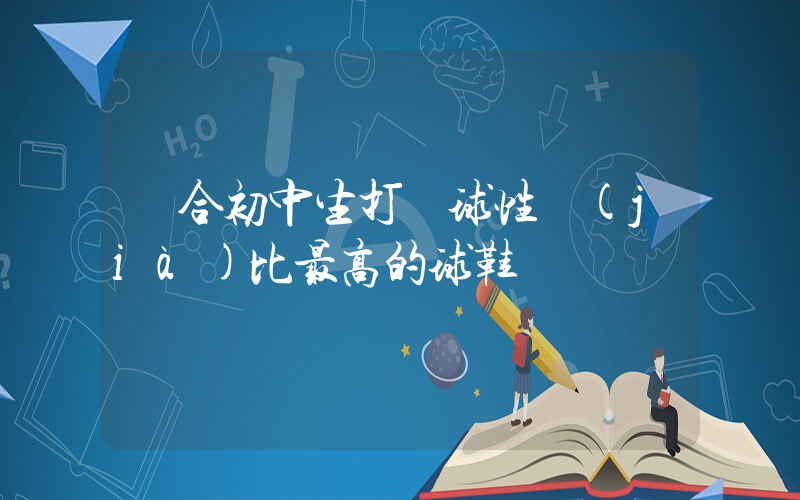 適合初中生打籃球性價(jià)比最高的球鞋插圖