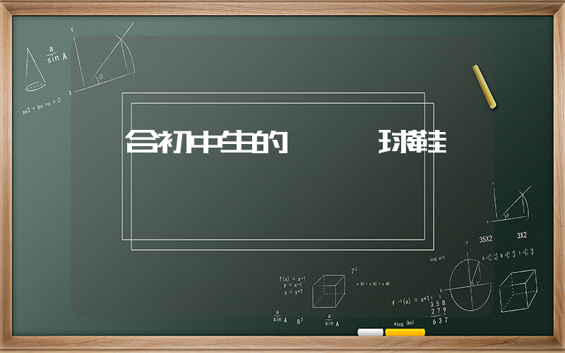 適合初中生的實戰籃球鞋插圖