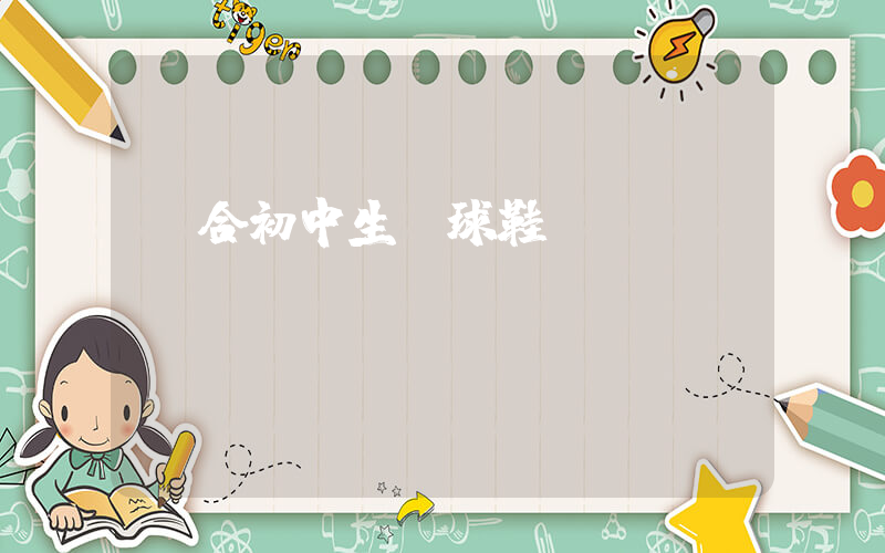 適合初中生籃球鞋插圖