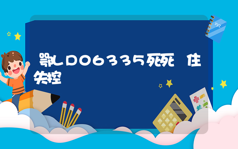 鄂LD06335死死頂住失控車輛插圖