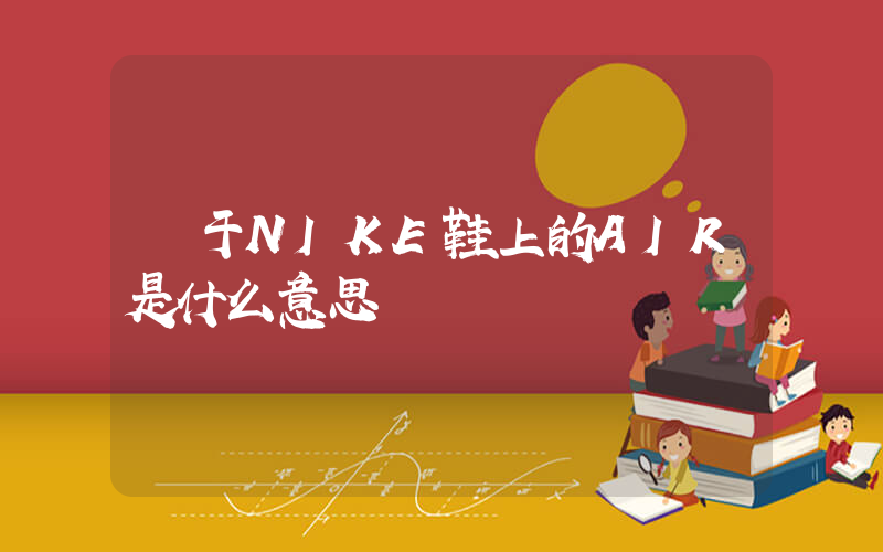 關于NIKE鞋上的AIR是什么意思插圖