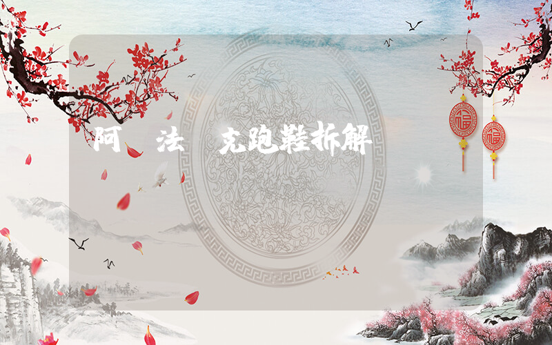 阿爾法耐克跑鞋拆解插圖