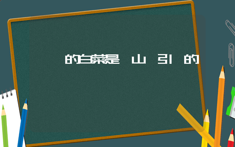 韓國的白菜是從山東引進的插圖