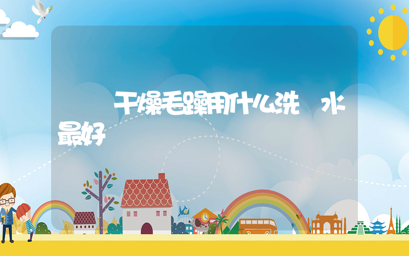 頭發干燥毛躁用什么洗發水最好插圖