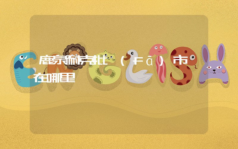 鹿泉耐克批發(fā)市場在哪里插圖