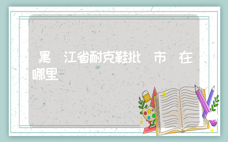 黑龍江省耐克鞋批發市場在哪里插圖
