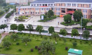 00后選什么專業？大學新增專業三宗“最”縮略圖
