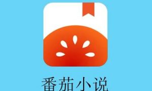 番茄小說(shuō)多個(gè)作品高度雷同縮略圖