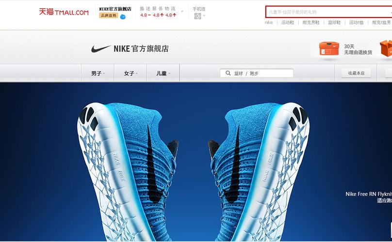 成品網(wǎng)站nike插圖