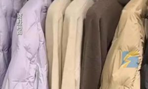 羽絨服漲價與豬有關縮略圖