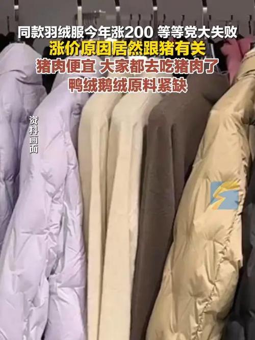 羽絨服漲價與豬有關插圖