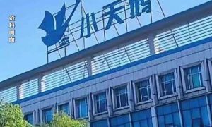 小天鵝被薅7000萬網店公布補償方案縮略圖