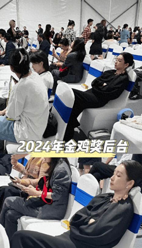 秦海璐又在金雞后臺(tái)睡著了插圖