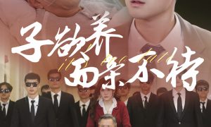 《子欲養而親不待》短劇全集在線看簡介縮略圖